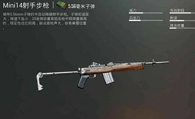 Mini14游戏攻略全解析：技巧与配件搭配指南