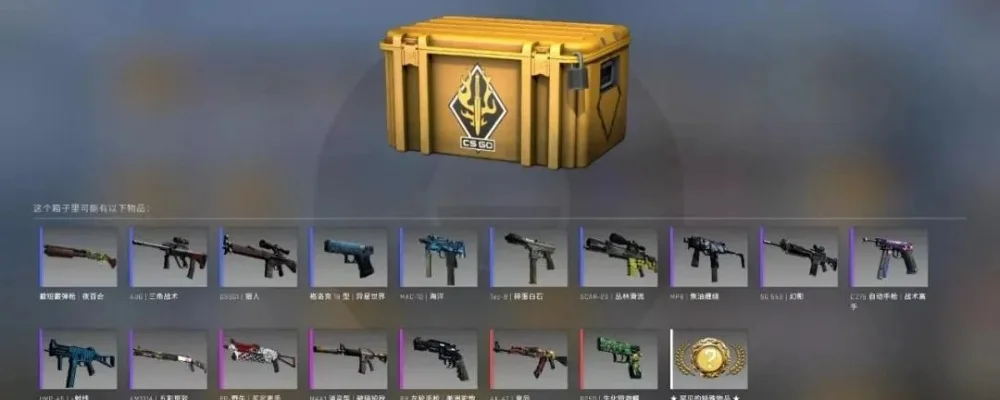 CSGO武器箱获取攻略：5种途径解锁高品质武器