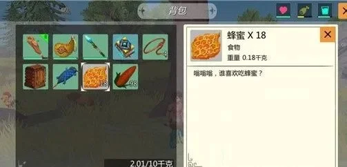《创造与魔法》驯服冰熊攻略：食物、地点、道具全解析