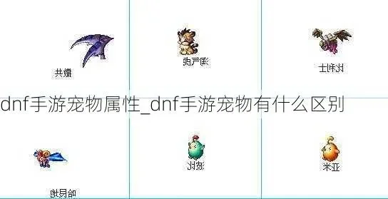 dnf手游宠物买哪个-DNF宠物选择指南