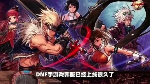 dnf手游汉化后闪退-DNF汉化闪退解析