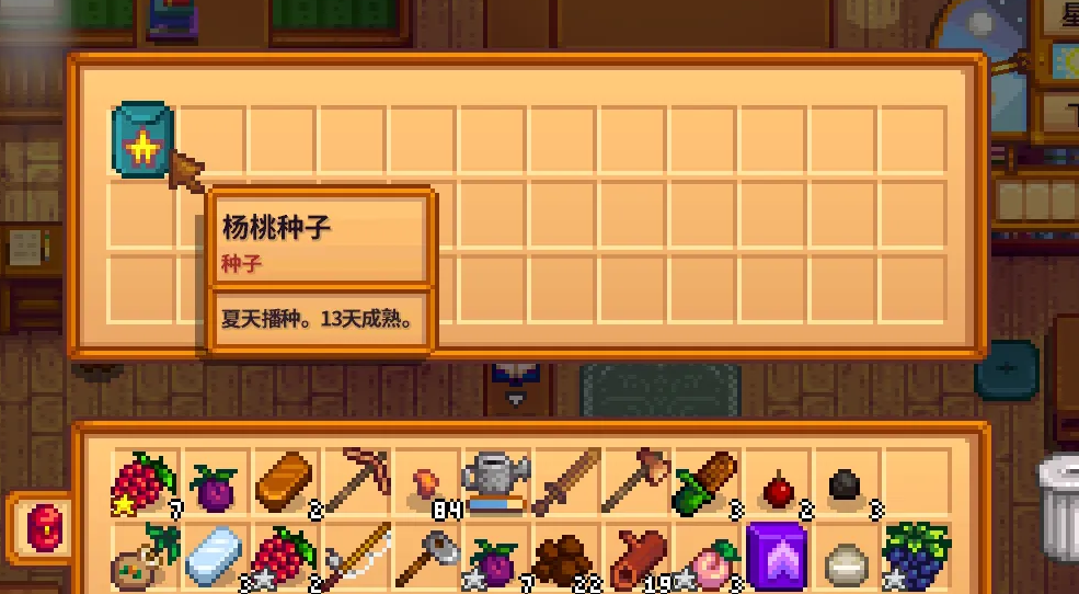 星露谷物语士兵的星星任务全攻略