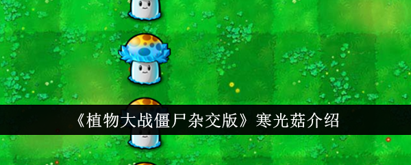 寒光菇详解：植物大战僵尸杂交版中的策略与玩法