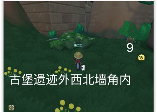 摩尔庄园7.20黑森林宝箱全攻略：位置详解与寻找技巧