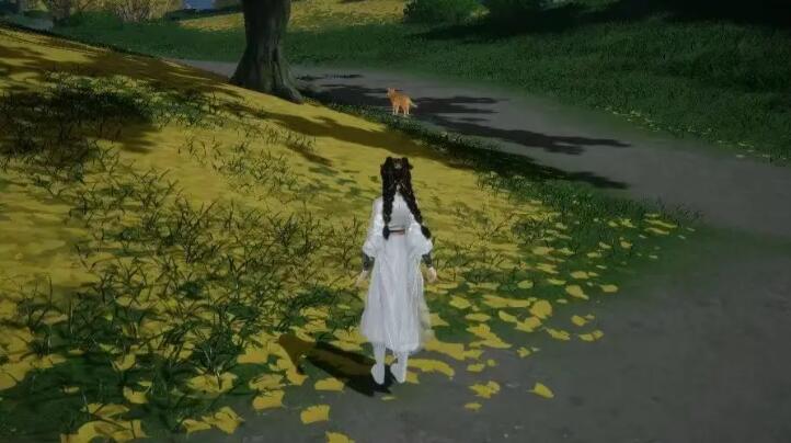 射雕手游无定坊猛兽献宝位置全攻略