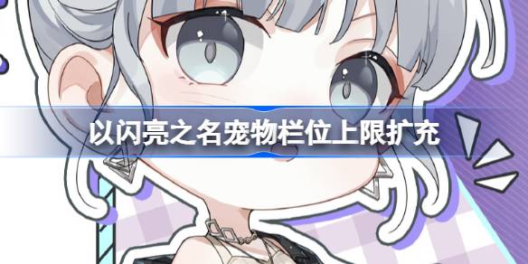 宠物栏位扩容：以闪亮之名迎来新变化