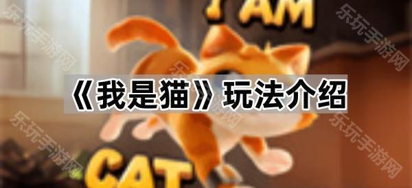 我是猫怎么玩：全面玩法介绍与趣味体验解析