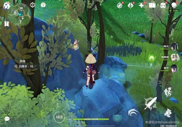 原神白梣木采集全攻略：位置、用途与采集技巧