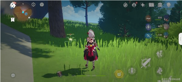 原神落落莓采集全攻略:81个最佳采集路线与实用技巧