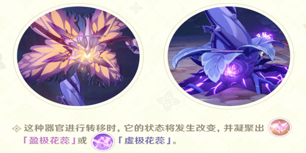 原神3.0掣电树虚极花蕊打法攻略