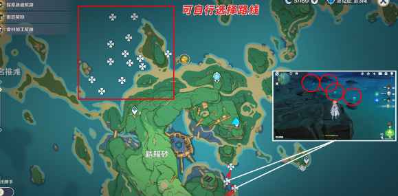 原神海灵芝采集全攻略：稻妻各大采集点详解与路线规划