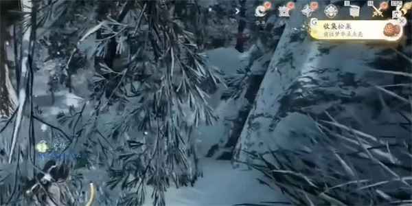 射雕手游松果收集全攻略：地图下方隐藏地点采集10个完成成就