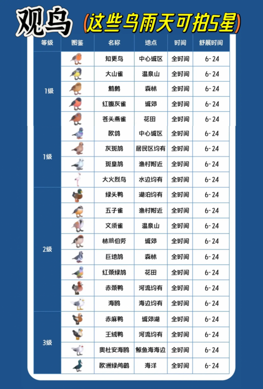 心动小镇雨天玩法全解析：时间、鱼虫、互动与稀有鱼获取指南
