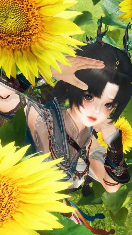 剑网3无界捏脸码分享与心得