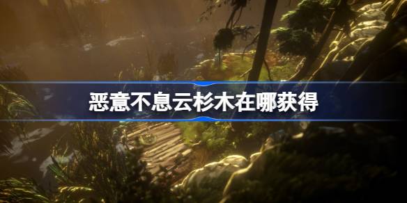 恶意不息云杉木怎么搞到手