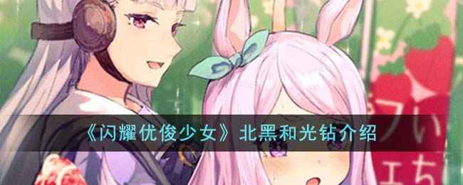 北黑与光钻实力对比：谁更胜一筹？