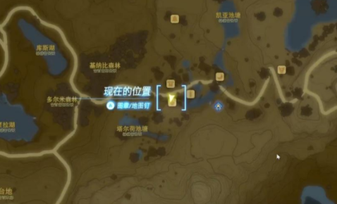 《王国之泪》海拉鲁米获取全攻略：杂货店购买地点及野外掉落点详解