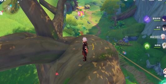 原神海岛蔓生溪谷宝箱位置详解