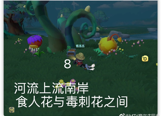 摩尔庄园7.20黑森林宝箱全攻略：位置详解与寻找技巧