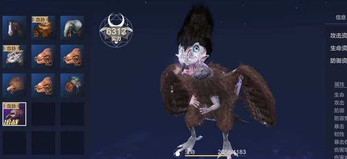 妄想山海颙鸟高效捕捉与获取策略