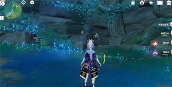 原神鲸井小弟手鞠位置全攻略