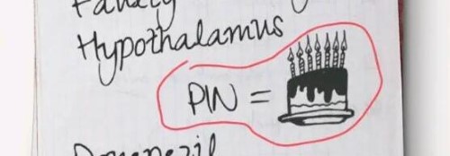 失落记忆第二章通关全攻略