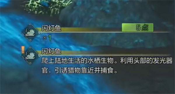 怪物猎人荒野闪灯鱼怎么抓：位置、方法与技巧