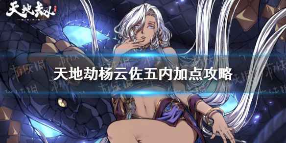 天地劫杨云佐五内加点全攻略：详解如何提升速度、伤害与机动性