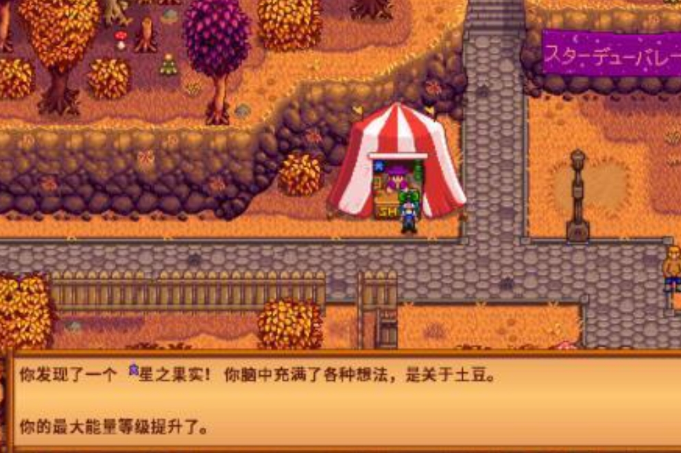 星露谷的星之果实获取全攻略