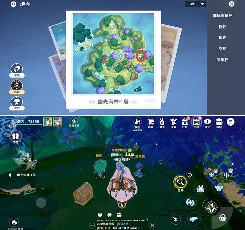 圣境之塔幽光雨林宝箱位置全解