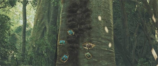 怪物猎人荒野瑰宝金龟子捕捉指南