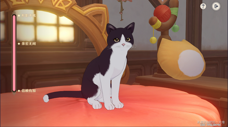 原神茸茸城堡大喵险第四关通关全记录