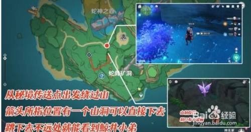 原神鲸井小弟手鞠位置全攻略