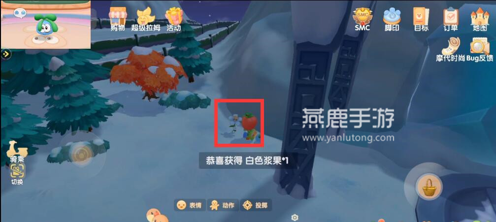 摩尔庄园白色浆果的采集地点与技巧