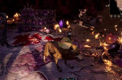 博德之门3哈尔辛怎么找，位置坐标全攻略