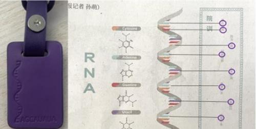 恋与制作人救世主计划许墨答案全解析