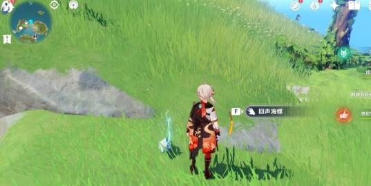 原神幻境海螺位置全攻略