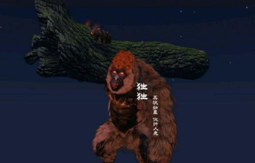 妄想山海狌狌召唤全攻略