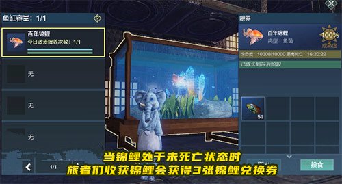 妄想山海锦鲤兑换券怎么搞到手
