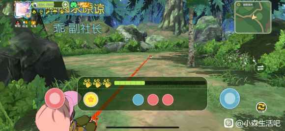 小森生活抓动物心得分享：掌握节奏，轻松捕捉