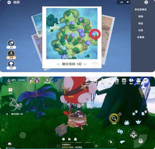 圣境之塔幽光雨林宝箱位置全解