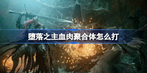 堕落之主修女德利斯血肉聚合体BOSS打法详解：近战打腿与远程输出的策略