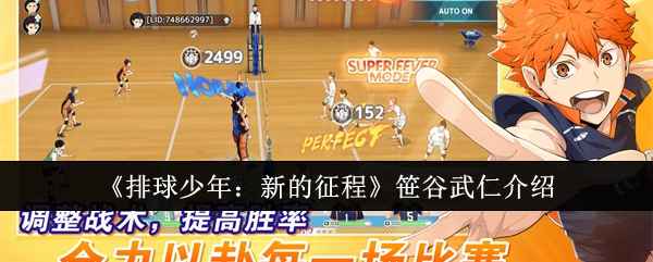 排球少年新的征程笹谷武仁深度解析：战术核心与实战技巧