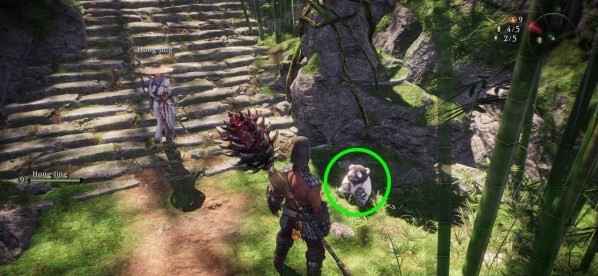 卧龙苍天陨落：如何与熊猫互动并获得奖励