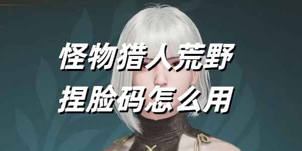 怪物猎人荒野捏脸码使用与获取全攻略