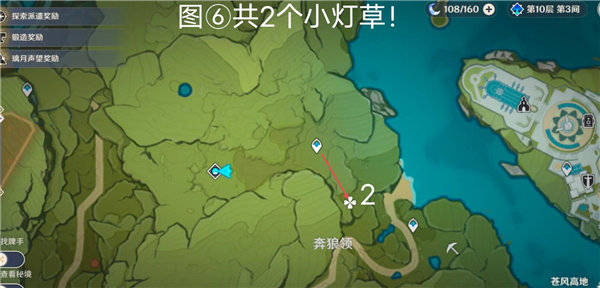 原神小灯草采集全攻略：高效刷新地点与路线