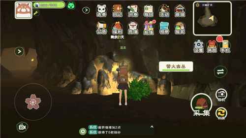 小森生活矿洞三层穿衣攻略：抗热抗毒，轻松闯关