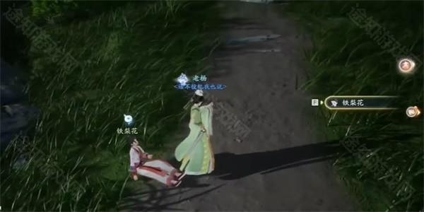 射雕手游攻略：折梅遥寄乡愁漫漫成就达成全解析