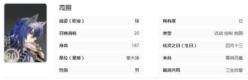 咏月风雅霞照技能详解与角色深度评测