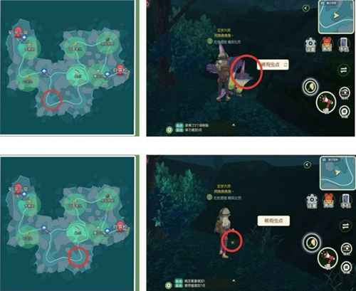 小森生活稀有虫点全攻略：位置、刷新时间与捕捉技巧